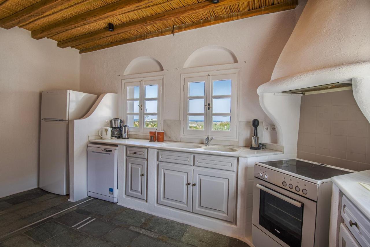 Anthemion Paros - Villas & Suites Agia Irini  ภายนอก รูปภาพ